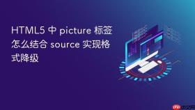 html5 中 picture 标签怎么结合 source 实现格式降级
