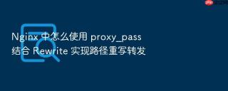 Nginx 中怎么使用 proxy_pass 结合 Rewrite 实现路径重写转发