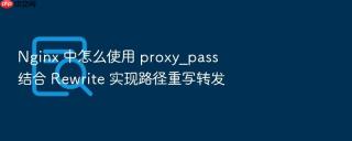 nginx 中怎么使用 proxy_pass 结合 rewrite 实现路径重写转发