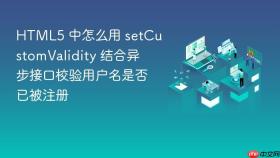 html5 中怎么用 setcustomvalidity 结合异步接口校验用户名是否已被注册
