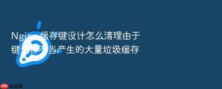 nginx 缓存键设计怎么清理由于键设计不当产生的大量垃圾缓存