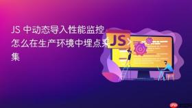 JS 中动态导入性能监控怎么在生产环境中埋点采集