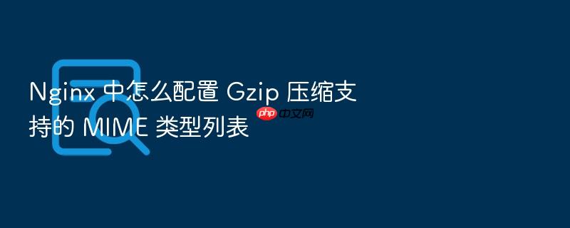 nginx 中怎么配置 gzip 压缩支持的 mime 类型列表