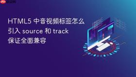 html5 中音视频标签怎么引入 source 和 track 保证全面兼容