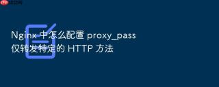 nginx 中怎么配置 proxy_pass 仅转发特定的 http 方法