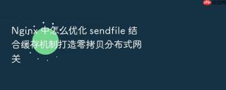 Nginx 中怎么优化 sendfile 结合缓存机制打造零拷贝分布式网关