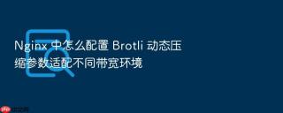 Nginx 中怎么配置 Brotli 动态压缩参数适配不同带宽环境