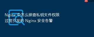 nginx 中怎么排查私钥文件权限过宽引发的 nginx 安全告警