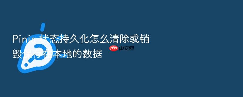 pinia 状态持久化怎么清除或销毁保存在本地的数据