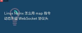 Linux Nginx 怎么用 map 指令动态升级 WebSocket 协议头