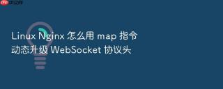 Linux Nginx 怎么用 map 指令动态升级 WebSocket 协议头
