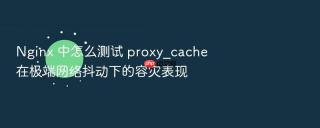 nginx 中怎么测试 proxy_cache 在极端网络抖动下的容灾表现