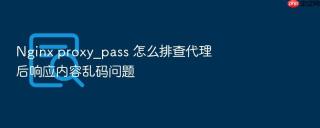 nginx proxy_pass 怎么排查代理后响应内容乱码问题