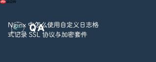Nginx 中怎么使用自定义日志格式记录 SSL 协议与加密套件