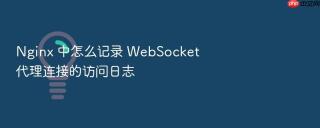 Nginx 中怎么记录 WebSocket 代理连接的访问日志