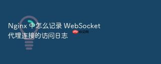 nginx 中怎么记录 websocket 代理连接的访问日志