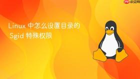 linux 中怎么设置目录的 sgid 特殊权限