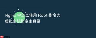 nginx 中怎么使用 root 指令为虚拟主机指定主目录