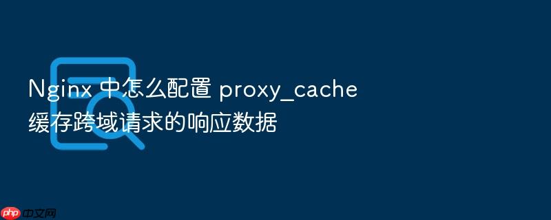 nginx 中怎么配置 proxy_cache 缓存跨域请求的响应数据