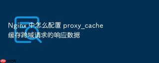 nginx 中怎么配置 proxy_cache 缓存跨域请求的响应数据