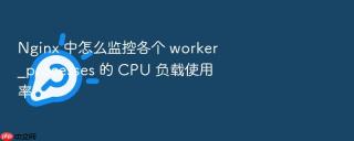Nginx 中怎么监控各个 worker_processes 的 CPU 负载使用率