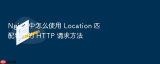 Nginx 中怎么使用 Location 匹配特定的 HTTP 请求方法