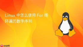 Linux 中怎么使用 For 循环遍历数字序列