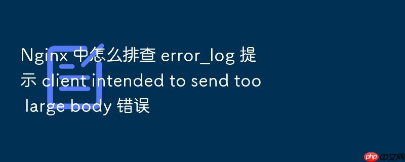 nginx 中怎么排查 error_log 提示 client intended to send too large body 错误