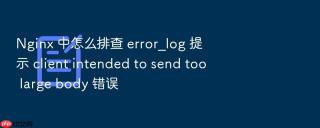 Nginx 中怎么排查 error_log 提示 client intended to send too large body 错误