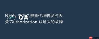 nginx 中怎么排查代理转发时丢失 authorization 认证头的故障