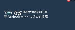 Nginx 中怎么排查代理转发时丢失 Authorization 认证头的故障