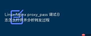 linux nginx proxy_pass 调试日志怎么打开并分析转发过程