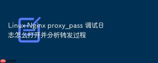 Linux Nginx proxy_pass 调试日志怎么打开并分析转发过程