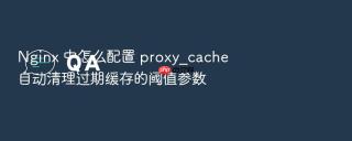 Nginx 中怎么配置 proxy_cache 自动清理过期缓存的阈值参数