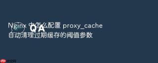 nginx 中怎么配置 proxy_cache 自动清理过期缓存的阈值参数
