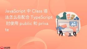 JavaScript 中 Class 语法怎么在配合 TypeScript 时使用 public 和 private