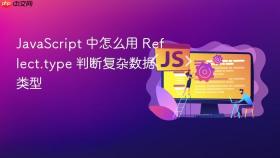 javascript 中怎么用 reflect.type 判断复杂数据类型