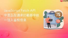 javascript fetch api 中怎么在请求拦截器中统一注入鉴权信息
