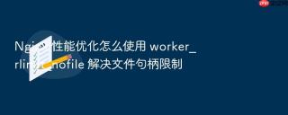 nginx 性能优化怎么使用 worker_rlimit_nofile 解决文件句柄限制