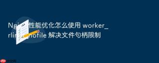 Nginx 性能优化怎么使用 worker_rlimit_nofile 解决文件句柄限制