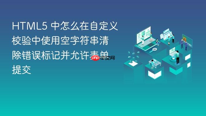 html5 中怎么在自定义校验中使用空字符串清除错误标记并允许表单提交