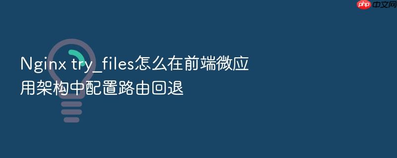 nginx try_files怎么在前端微应用架构中配置路由回退