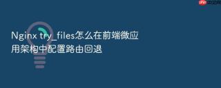 nginx try_files怎么在前端微应用架构中配置路由回退