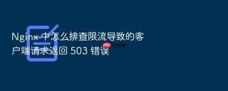 Nginx 中怎么排查限流导致的客户端请求返回 503 错误