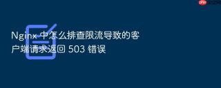 nginx 中怎么排查限流导致的客户端请求返回 503 错误
