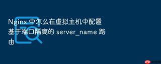 Nginx 中怎么在虚拟主机中配置基于端口隔离的 server_name 路由