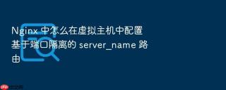 nginx 中怎么在虚拟主机中配置基于端口隔离的 server_name 路由