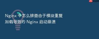 Nginx 中怎么排查由于模块重复加载导致的 Nginx 启动崩溃