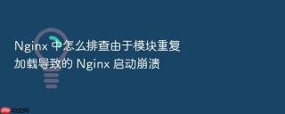 nginx 中怎么排查由于模块重复加载导致的 nginx 启动崩溃