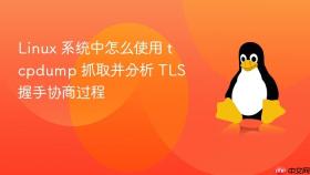 Linux 系统中怎么使用 tcpdump 抓取并分析 TLS 握手协商过程